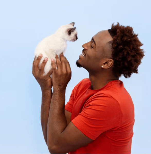 Kitty Wisdom Case Study Wisdom Binaery Your Go-To Shopify Agency, Trusted by Shopify ...